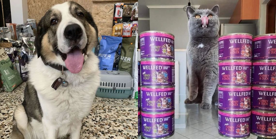 Fat Cat Petfood - Pet Shops - Μυτιλήνη